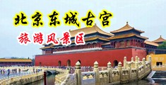 操女人大叉视频中国北京-东城古宫旅游风景区